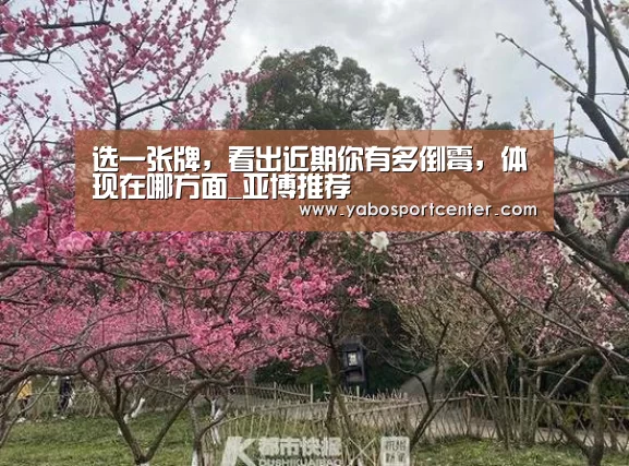 亚博推荐