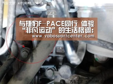 与捷豹F-PACE同行 体验“非凡运动”的生活格调:亚博游戏(图1) 亚博平台